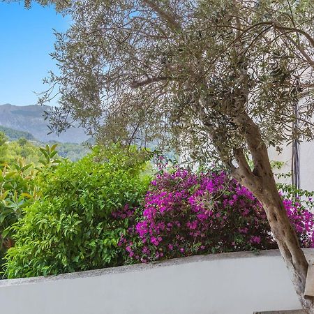 Apartamento Bellavista 22 Puerto de Sóller Exterior foto